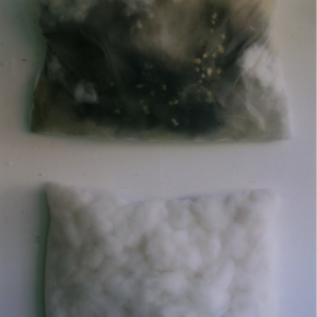 Dreaming2, 2003, mixed media, 48x69cm (each)